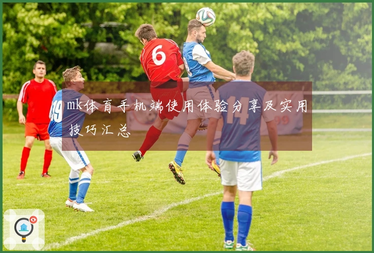 mk体育手机端使用体验分享及实用技巧汇总
