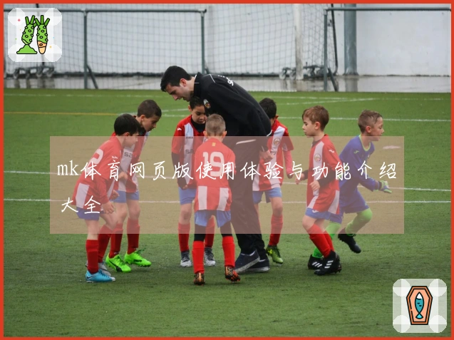 mk体育网页版使用体验与功能介绍大全